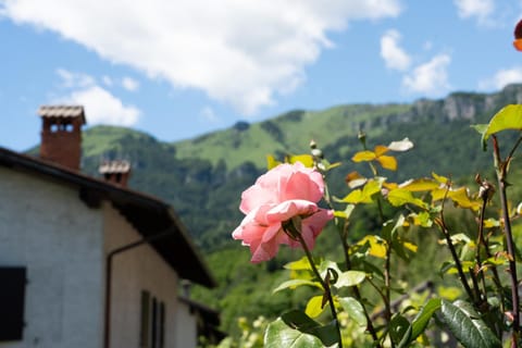 Property building, Facade/entrance, Garden, View (from property/room), Garden view, Garden view, Mountain view, Mountain view