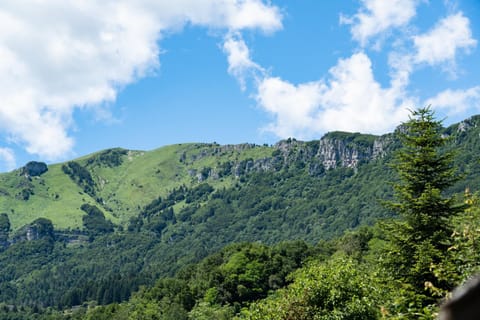 View (from property/room), View (from property/room), Mountain view, Mountain view