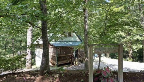 Walking Bear Cabin A peaceful cabin near TIEC with games and fire pit Casa in Tryon