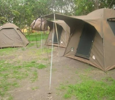 Camping Magamba Forest Campground/ 
RV Resort in Tanzania