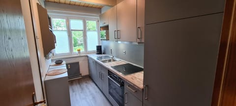 Kitchen or kitchenette, dishwasher, stove