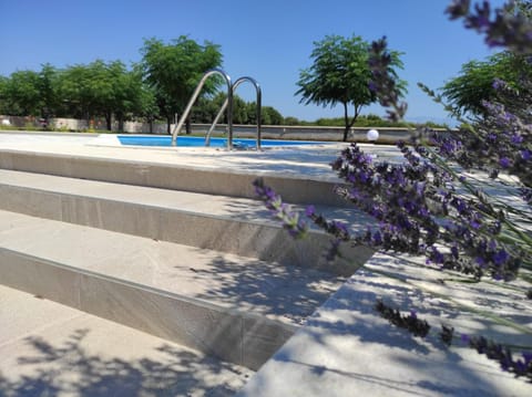 Day, Garden, Pool view, Swimming pool