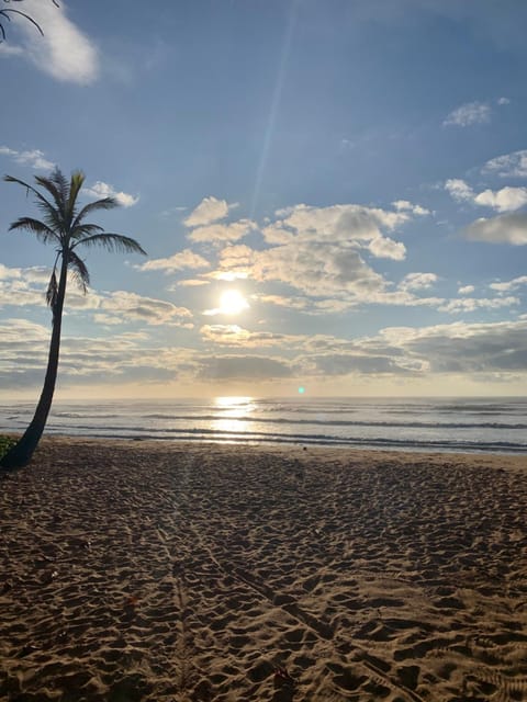 Beach, Sea view, Sunset