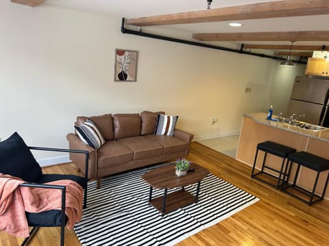 Stylish and convenient downtown apartment Condo in Church Hill