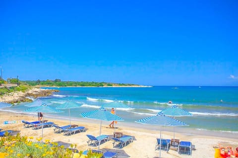 Nearby landmark, Day, Beach, sunbed