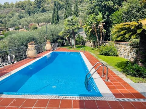 Spring, Day, Summer, Garden, Garden view, Pool view, Swimming pool