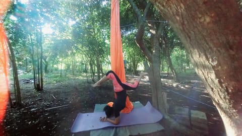Jungle Aerial Arts Namaste Camp Campground/ 
RV Resort in La Union