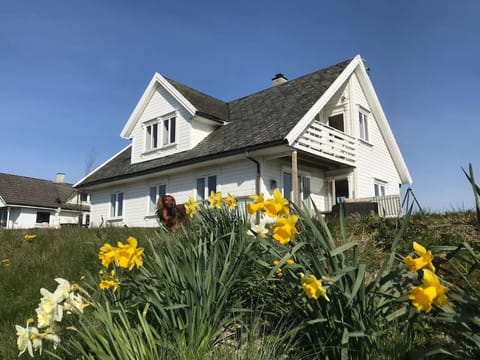 Property building, Spring, Day