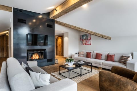 Natural landscape, Winter, Summer, TV and multimedia, Living room, fireplace