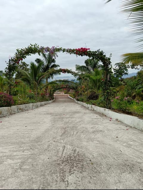 Hostería Las Palmas Hotel in Napo, Ecuador