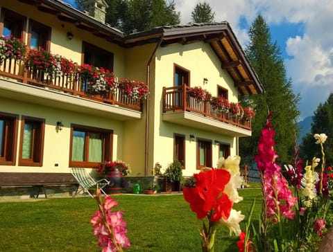 Property building, Garden, Garden view