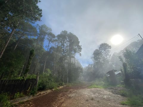 Cabaña Milpa Huerto Nature lodge in San Cristobal de Casas