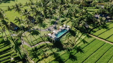 Bird's eye view, Swimming pool