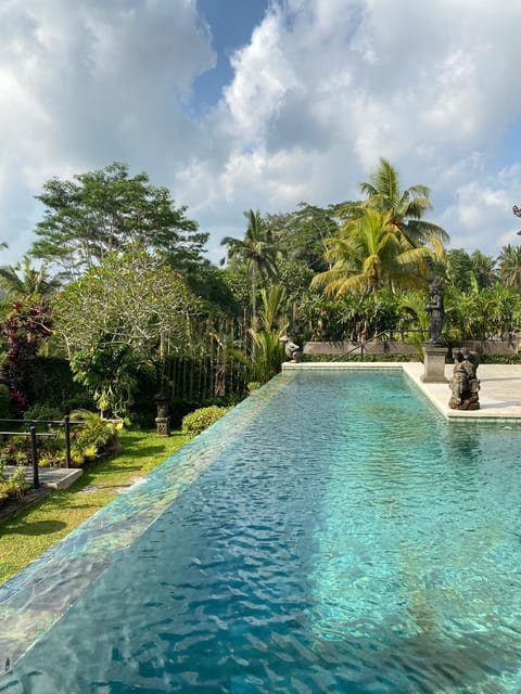 View (from property/room), Swimming pool, Swimming pool