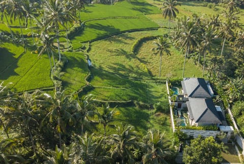 Property building, Day, Natural landscape, Bird's eye view, Garden view