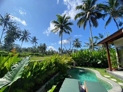 Day, Natural landscape, Garden, Garden view, Pool view, Swimming pool, sunbed