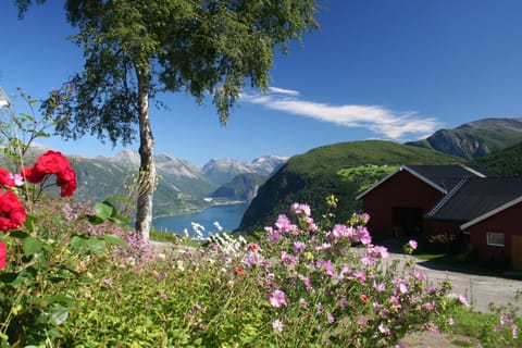 Mountain view, Area and facilities