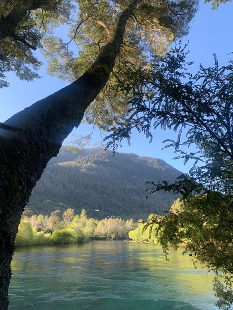 Cabañas con rio Condo in Pucon