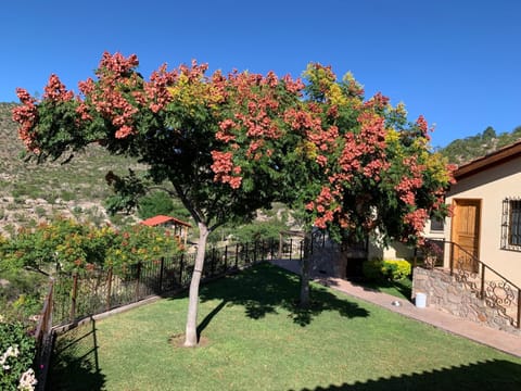 Spring, Day, Garden, Garden view