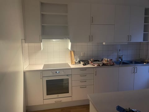 Kitchen or kitchenette, minibar, pet friendly, stove