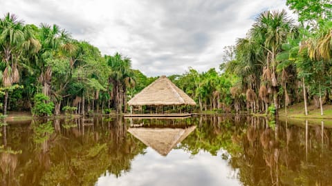 Family hotel PURMA CASPI on the jungle lake Apartment hotel in Iquitos