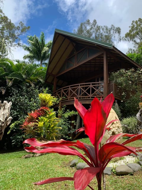 Property building, Garden view