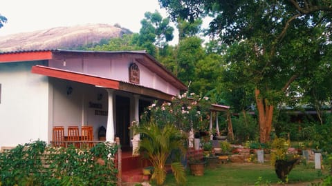 Natural landscape, Garden view