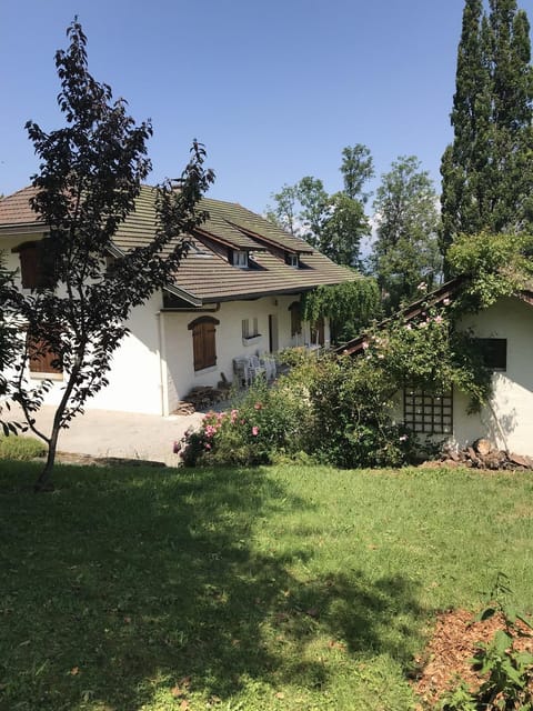 Property building, Spring, Day, Garden, Garden view