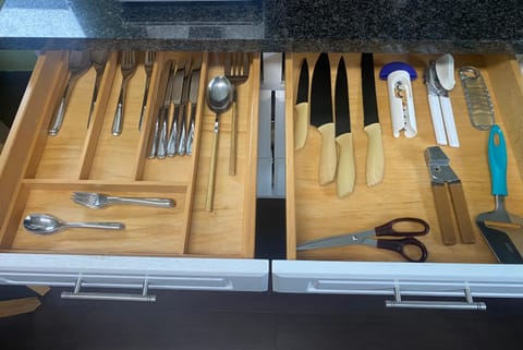Kitchen or kitchenette, kitchen