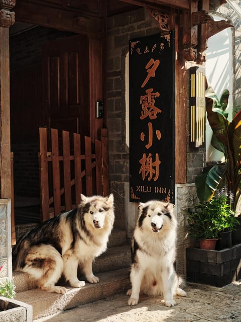 Xilu Xiaoxie Inn Bed and Breakfast in Sichuan
