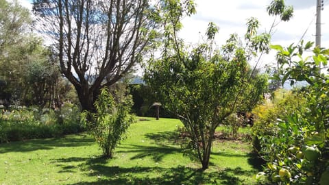 Quinta de Bruno House in Quito