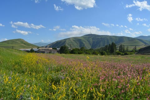 Day, Natural landscape, Summer, On site