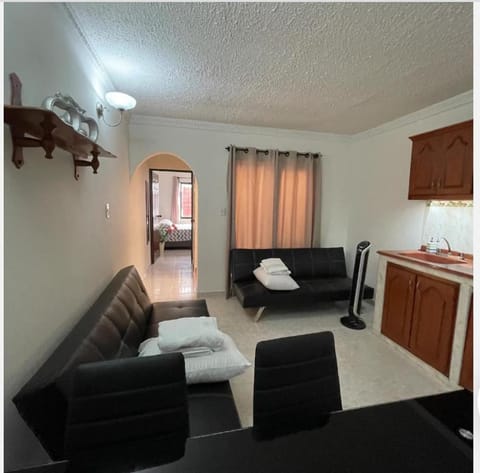 Apartamento para máximo 3 personas, habitación privada con cama doble , dos sofá cama, comodo, bonito, central, bien ubicado, en el centro de palmira Apartment in Palmira