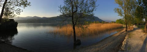 B&B Il Portico del Conte Bed and Breakfast in Province of Lecco