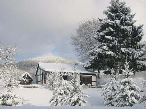 Gasthaus Wollmeiner Apartment in Schmallenberg