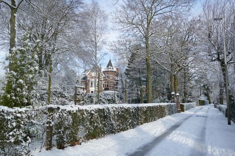 Neighbourhood, Winter, Garden view, Street view, Quiet street view