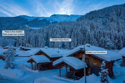 Chalet Haut Fort Prodains Lift - Mountain Voyages House in Montriond