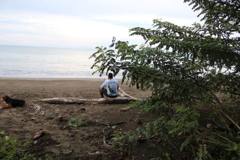 Natural landscape, Beach, Sea view