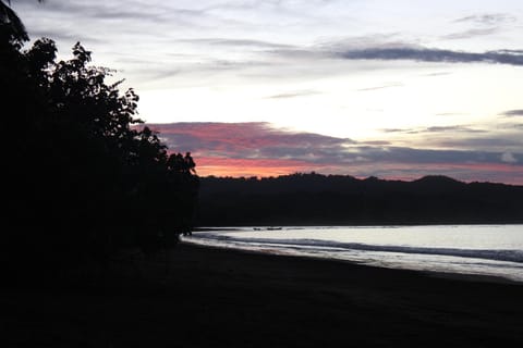 Natural landscape, Sea view, Sunset