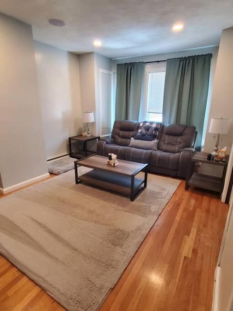 Newly renovated -2 Bedroom Condo Condo in South Boston