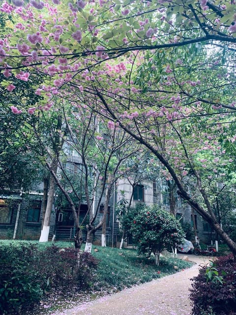 Gorgeous apartment with private backyard Eigentumswohnung in Wuhan