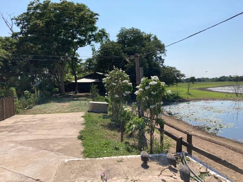 Hostel Camping Road Park Pantanal Sul Campground/ 
RV Resort in State of Mato Grosso do Sul, Brazil