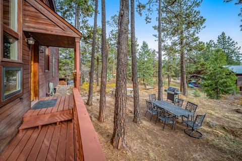 Top of the Mesa House in La Plata County