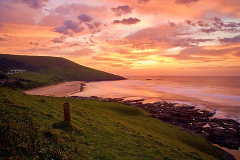 Natural landscape, Beach, Sunset