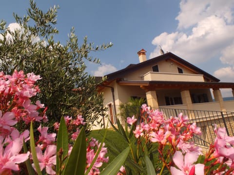 Property building, Garden view