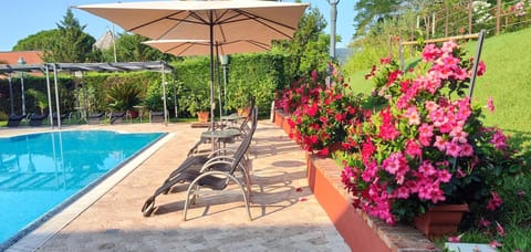 Pool view, Swimming pool, Swimming pool