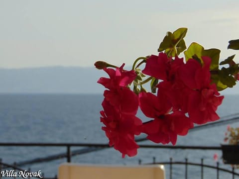 View (from property/room), Garden view, Lake view