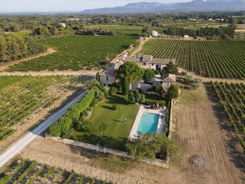 Bird's eye view, Garden, Swimming pool