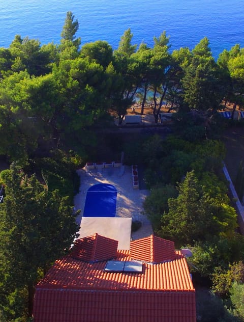 Bird's eye view, Swimming pool, Swimming pool