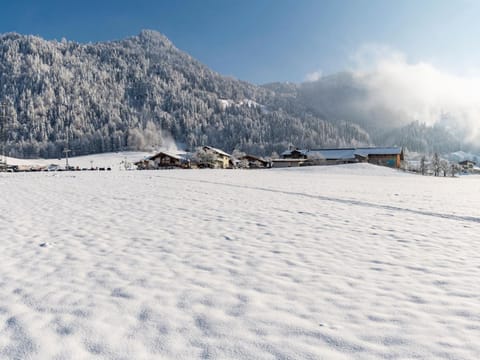 Winter, View (from property/room)
